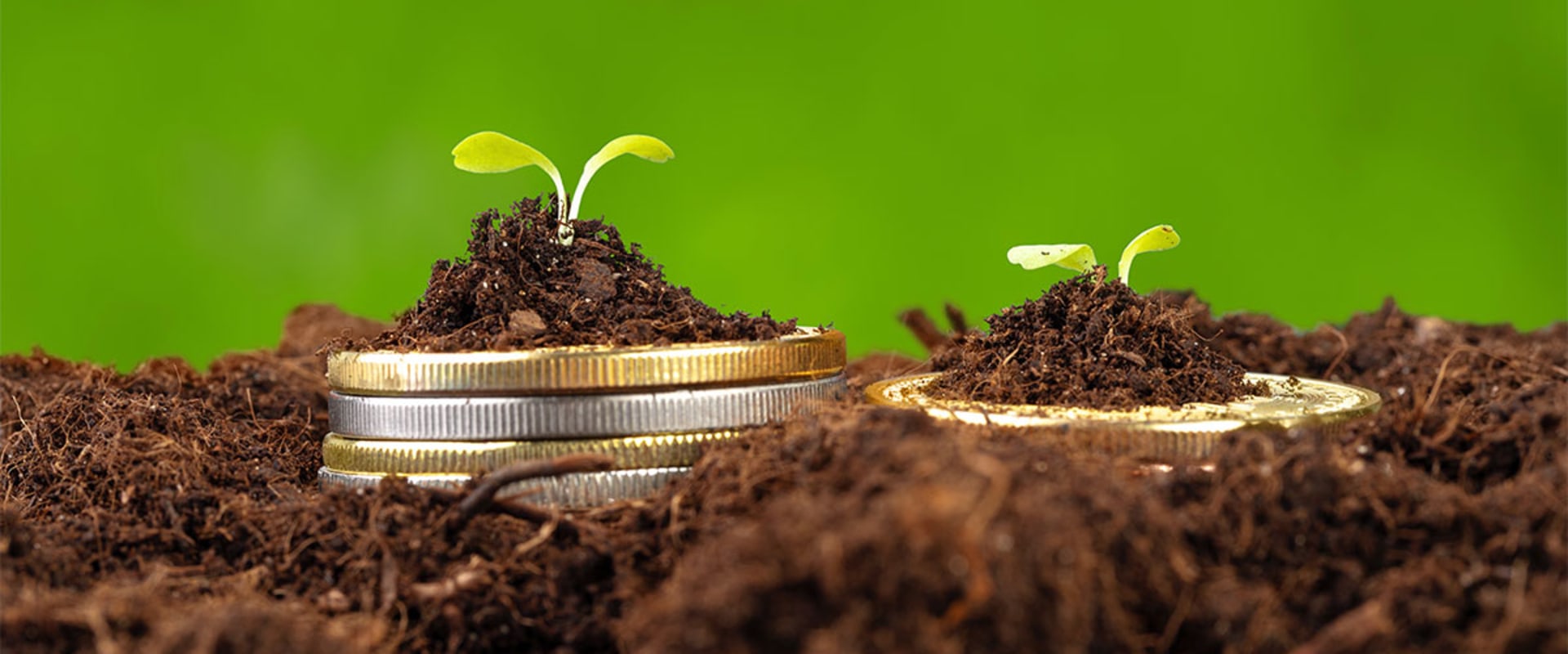 Calculating the Payback Period for Solar Panels
