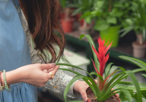 How Many Solar Panels Do I Need to Power Grow Lights?